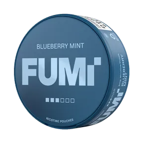 Fumi Blueberry Mint Slim 8mg