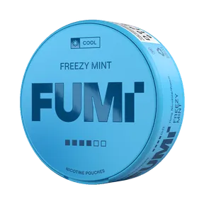 Fumi Freezy Mint Slim 11mg