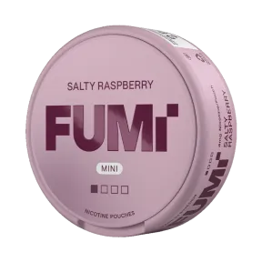 Fumi Salty Raspberry Regular Mini