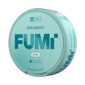 Fumi Spearmint Regular Mini