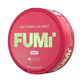Fumi Watermelon Mint Regular Mini