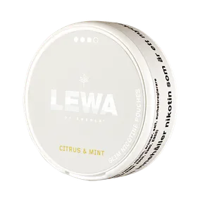 Lewa Burn Citrus Mint Slim Strong