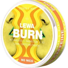 Lewa Citrus Mint Slim Nikotinfri