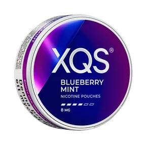 XQS Blueberry Mint Slim 8mg