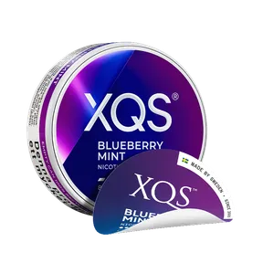 XQS Blueberry Mint Slim 4mg
