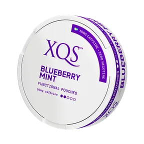XQS Blueberry Mint Zero Slim Nikotinfri