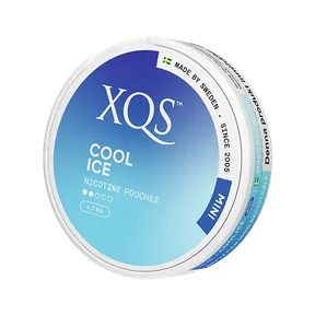 XQS Cool Ice Mini 4.2mg