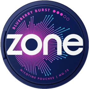 Zone No 73 Blueberry Burst Slim 10mg
